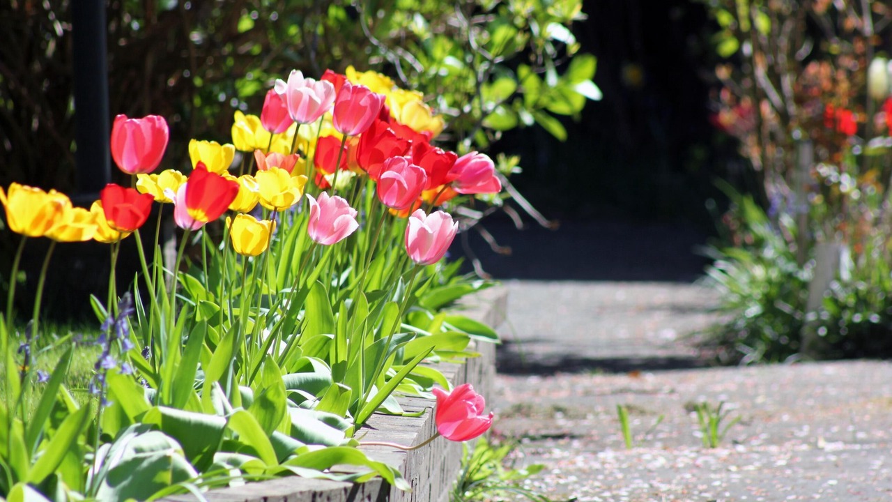 Photo of Others in North Saanich