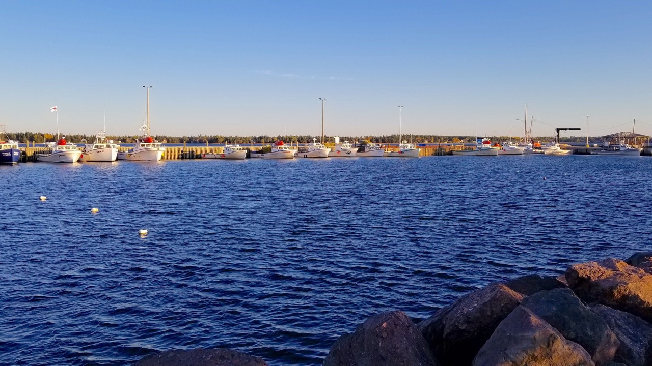 Photo of Others in Richibucto
