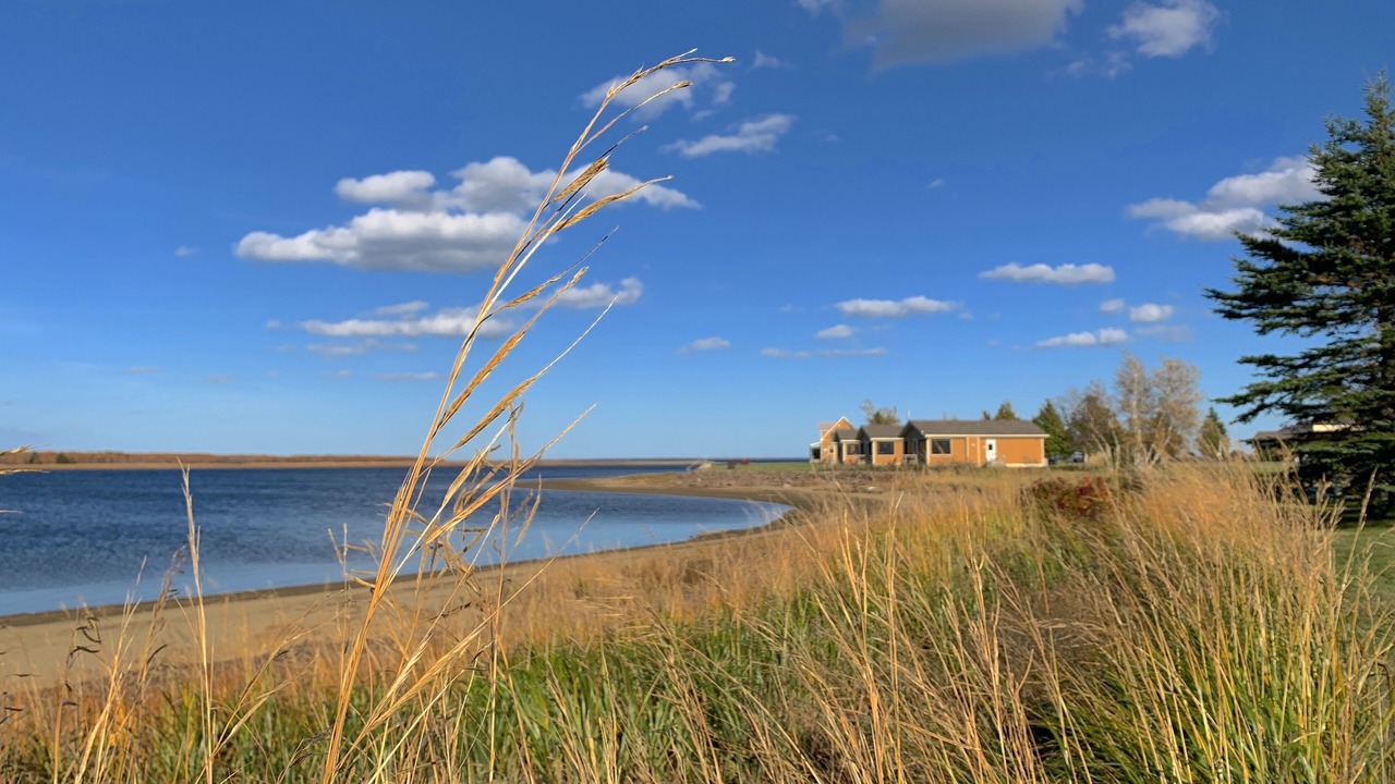 Photo of Others in Richibucto