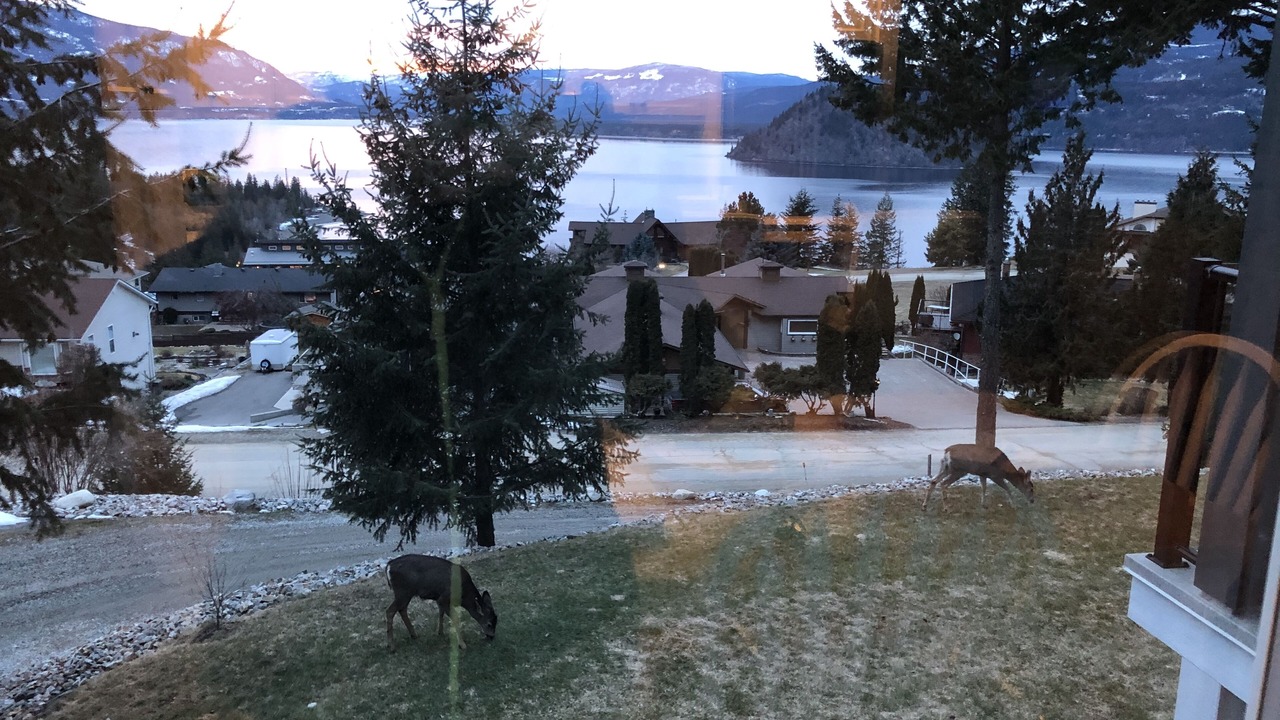 Photo of Others in Blind Bay