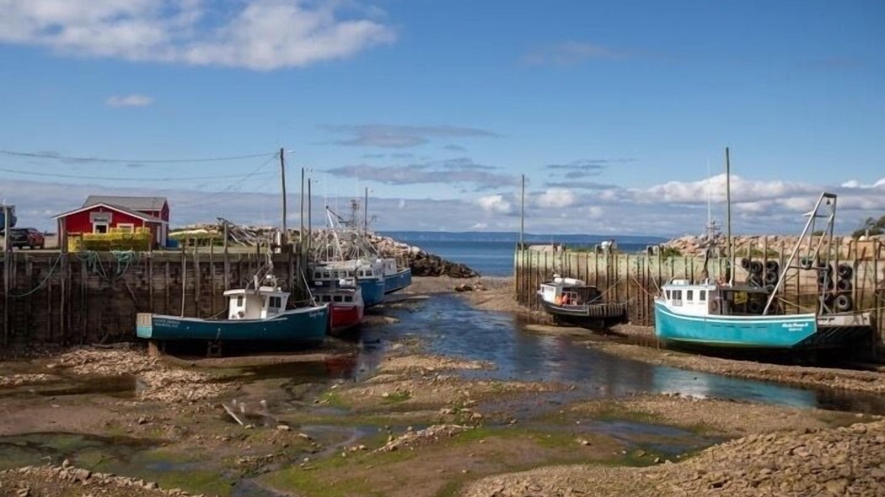 Photo of Others in Harbourville