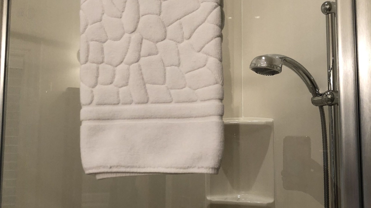 Photo of Bathroom in Bala