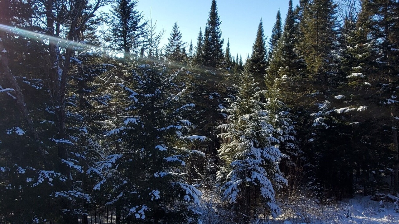 Photo of Others in Val-des-Lacs