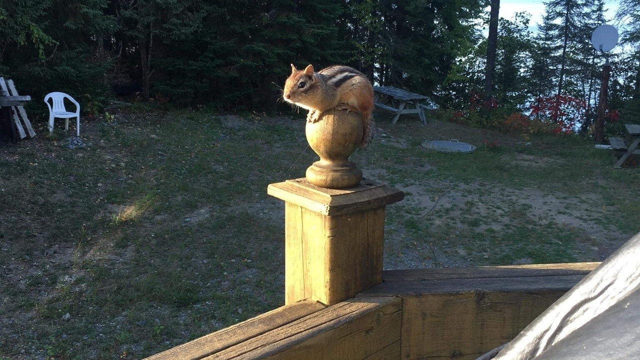 Photo of Outdoor in Northeastern Ontario