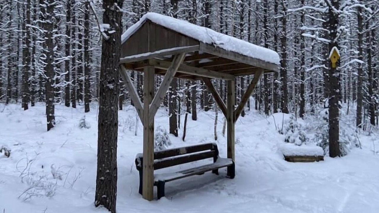 Photo of Outdoor in Northeastern Ontario