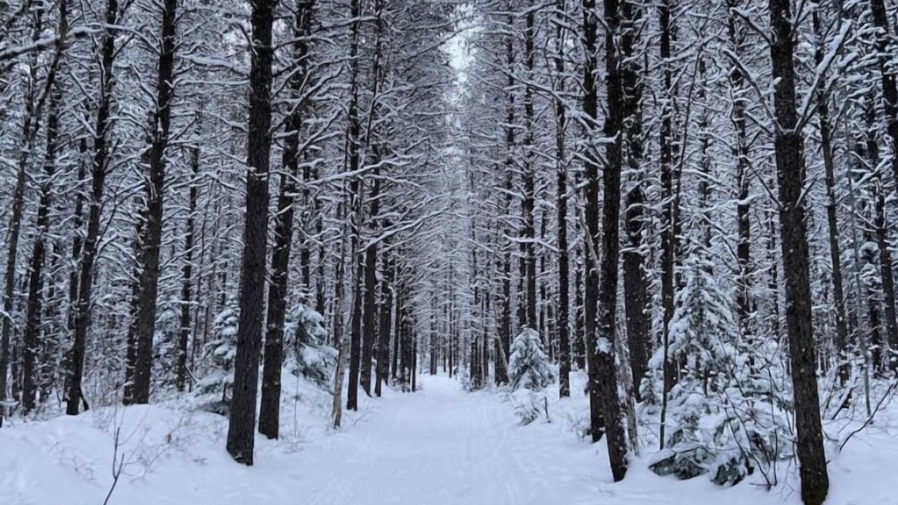 Photo of Others in Northeastern Ontario