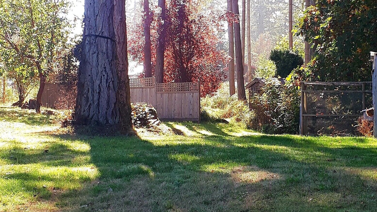 Photo of Outdoor in Gulf Islands