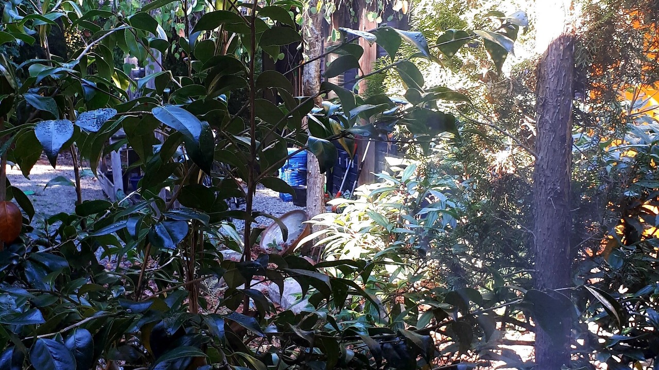 Photo of Outdoor in Gulf Islands