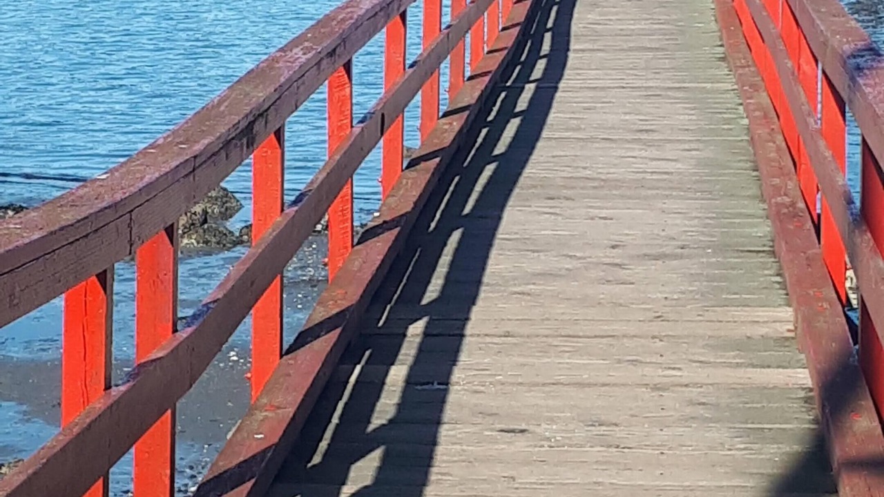 Photo of Others in Gulf Islands
