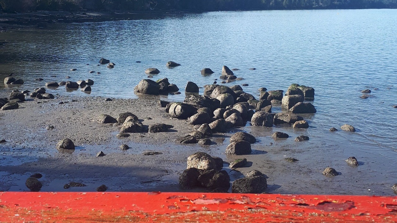 Photo of Others in Gulf Islands
