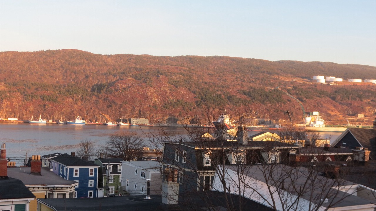 Photo of Others in Downtown St. John's