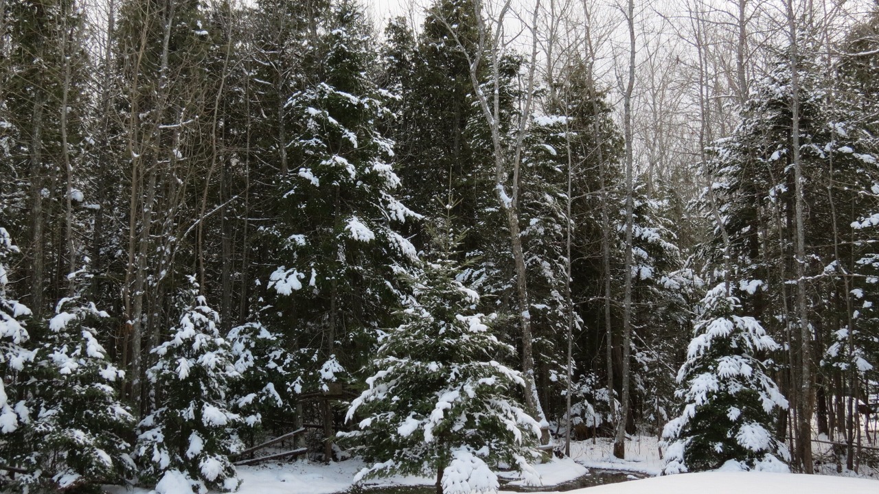 Photo of Outdoor in Lion's Head