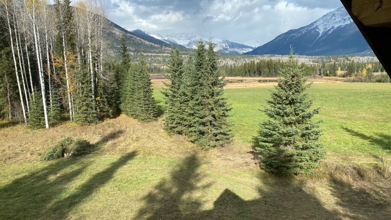 Photo of Others in Blaeberry