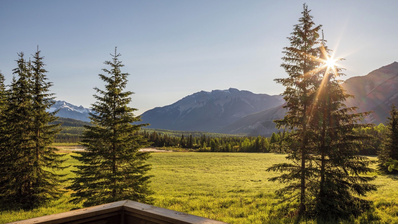 Photo of Outdoor in Blaeberry