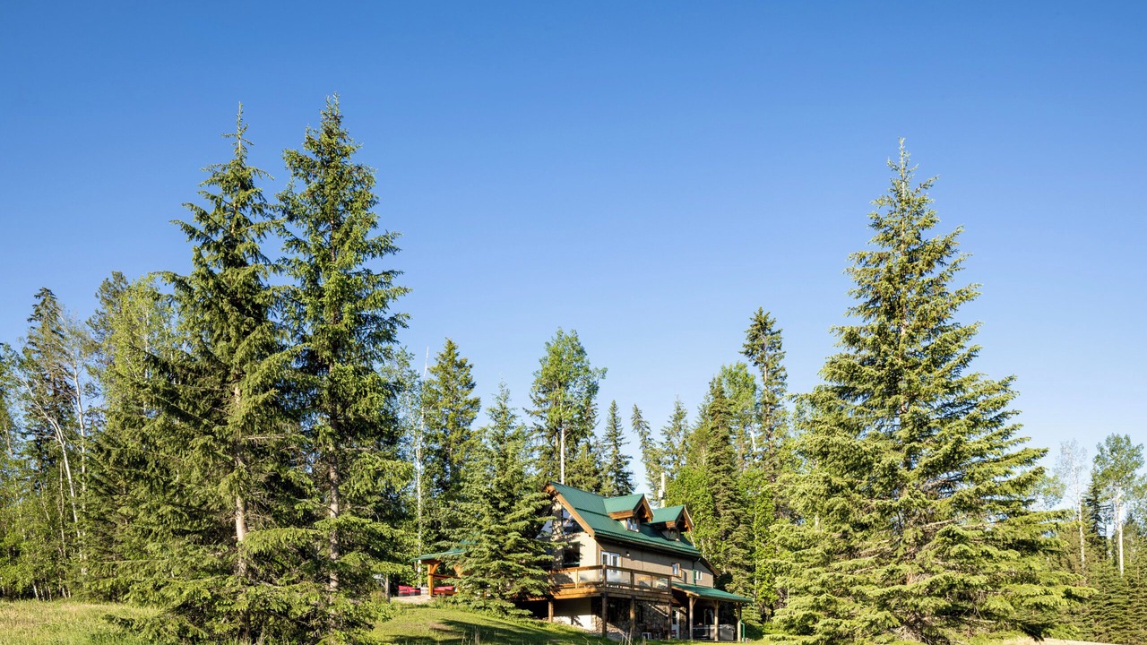 Photo of Outdoor in Blaeberry