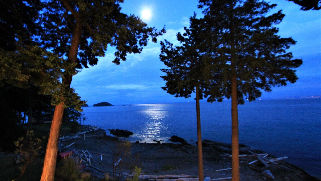 Photo of Others in West Sechelt