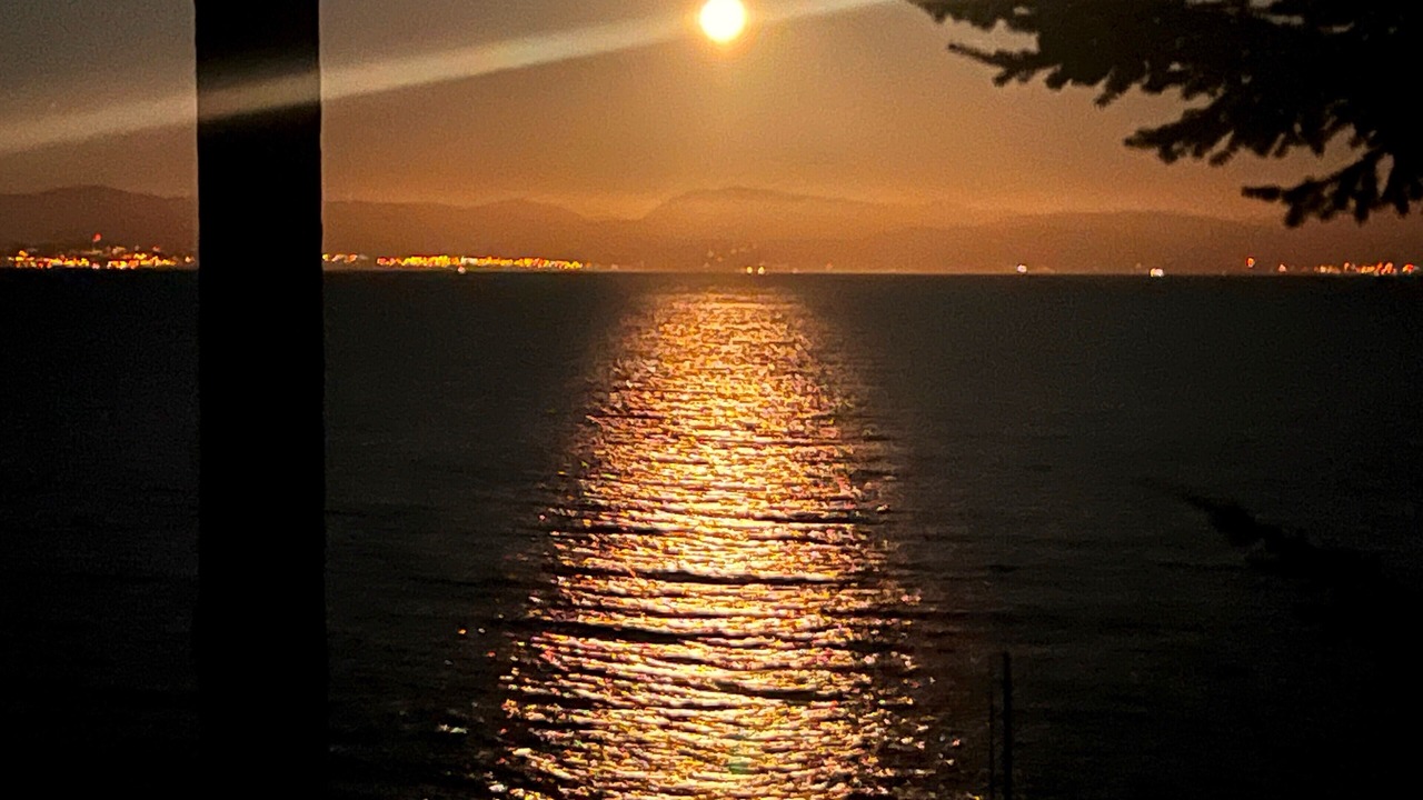 Photo of Others in West Sechelt
