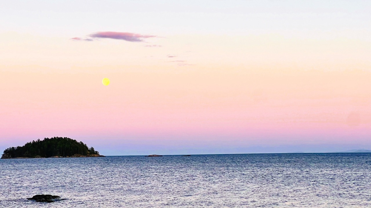 Photo of Others in West Sechelt