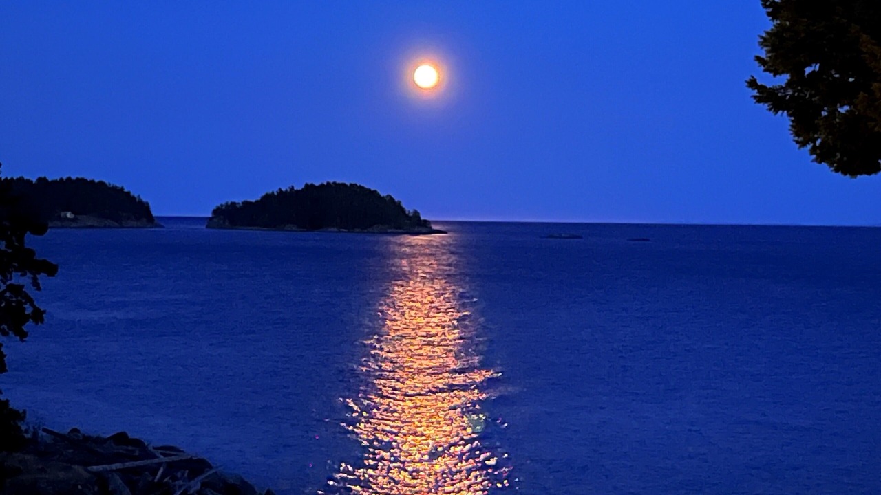 Photo of Others in West Sechelt
