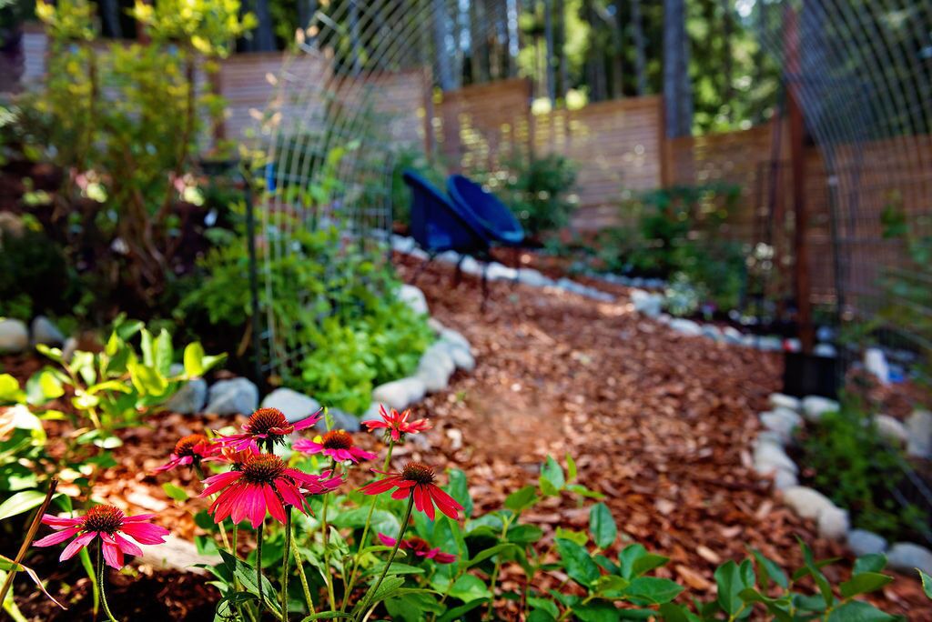 Photo of Outdoor in Metchosin