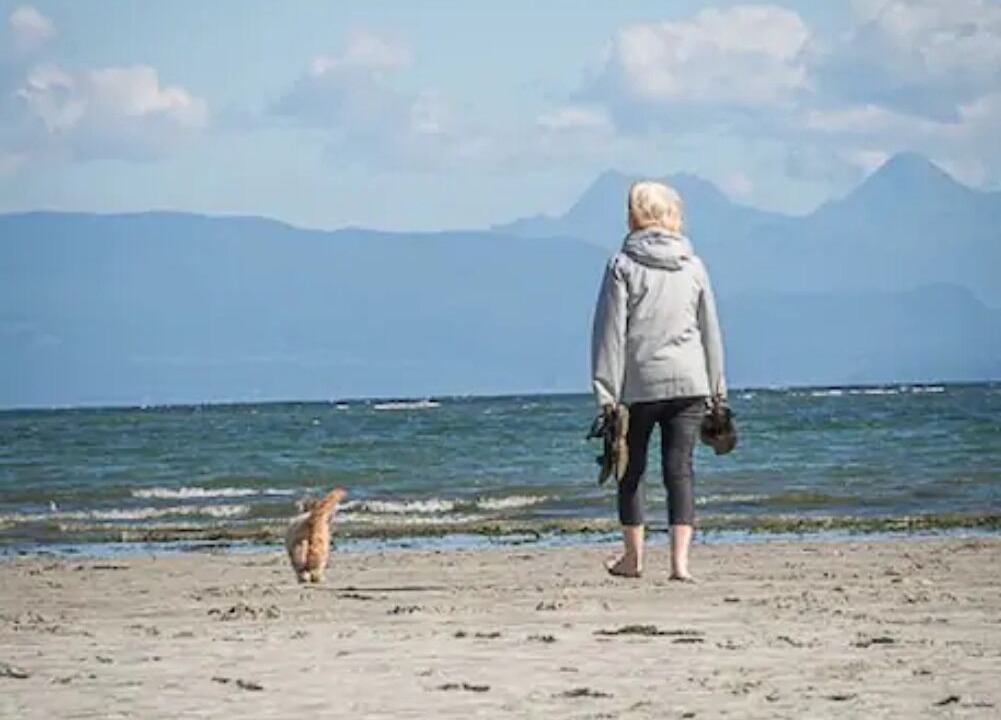 Photo of Others in Comox