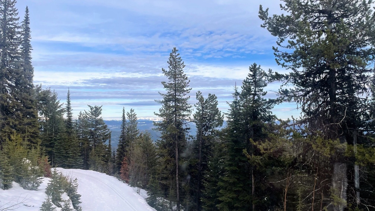 Photo of Others in Silver Star Mountain