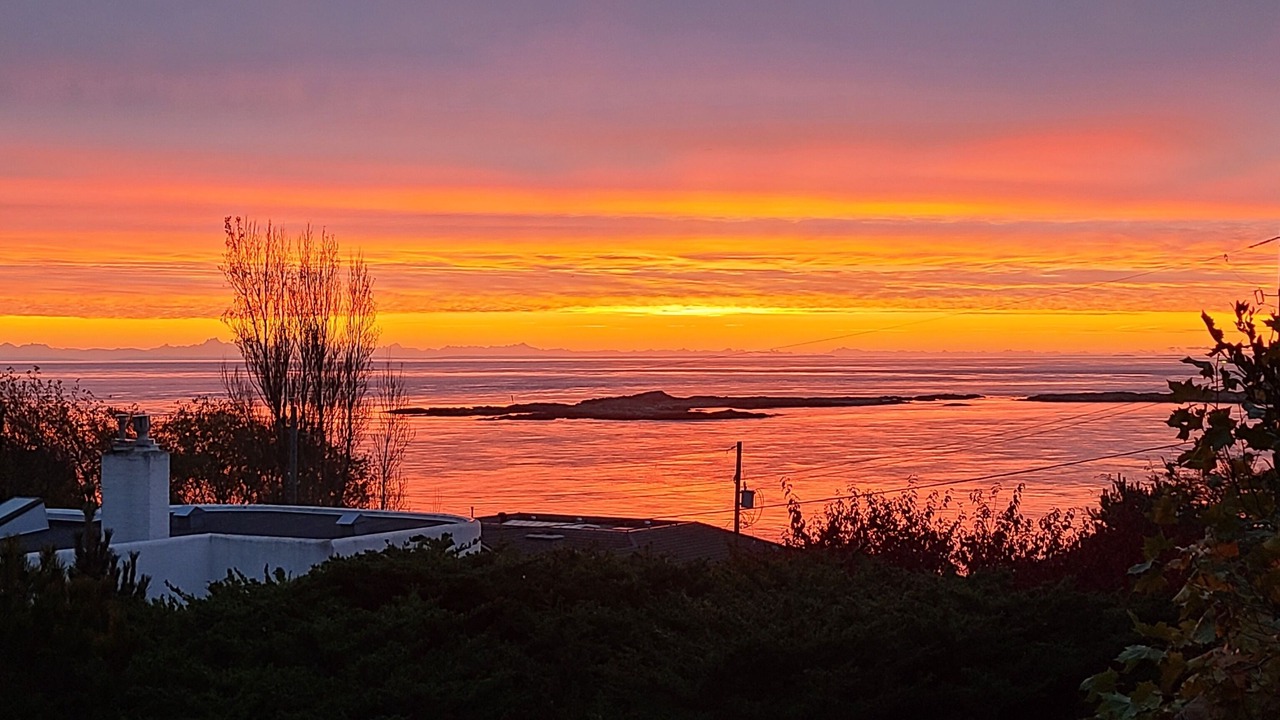 Photo of Others in Oak Bay