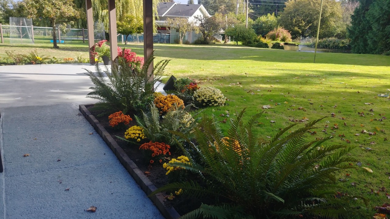Photo of Outdoor in Sidney