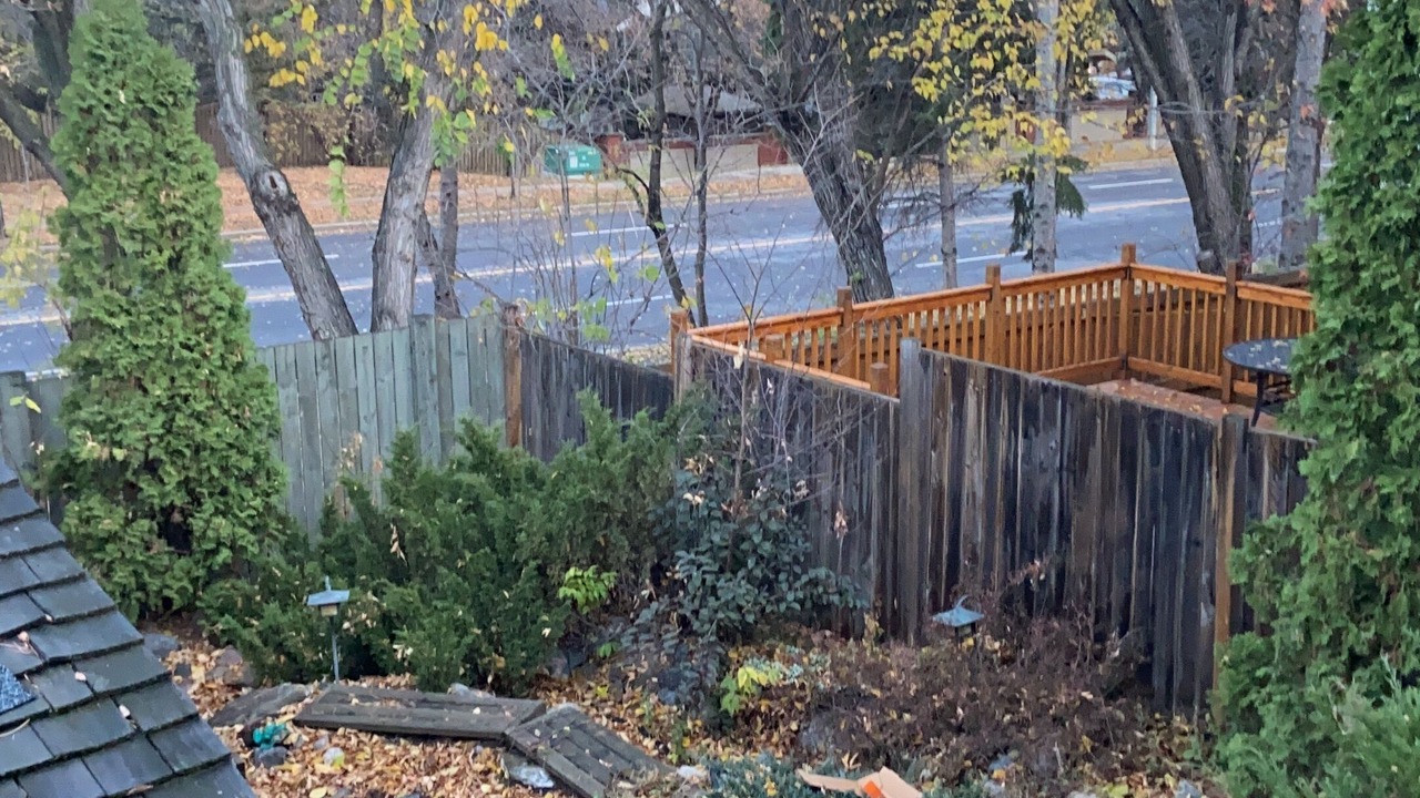 Photo of Outdoor in St. Albert