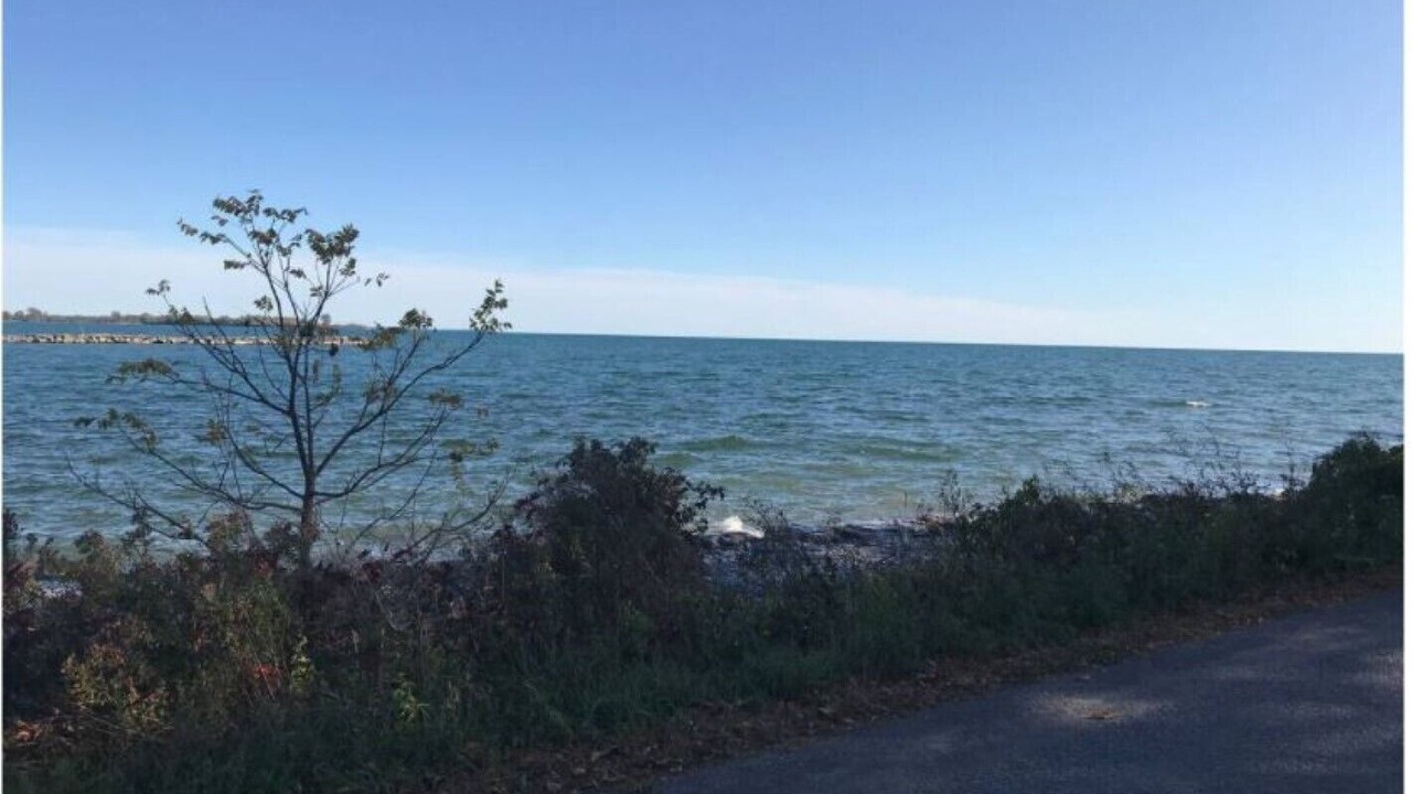 Photo of Others in Quinte West
