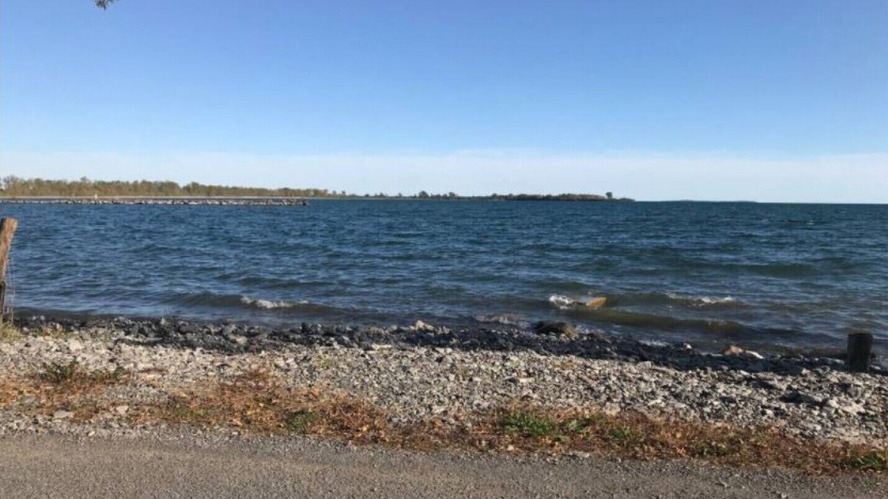 Photo of Others in Quinte West