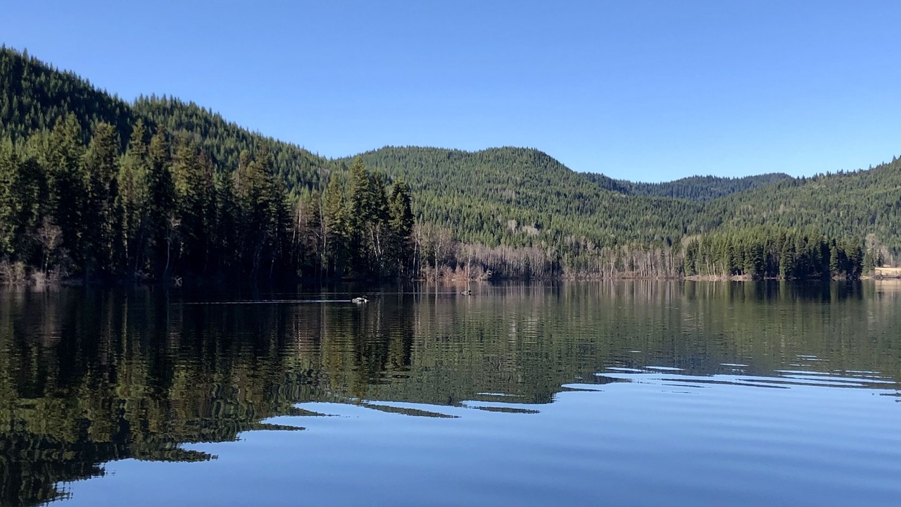 Photo of Outdoor in Eagle Creek
