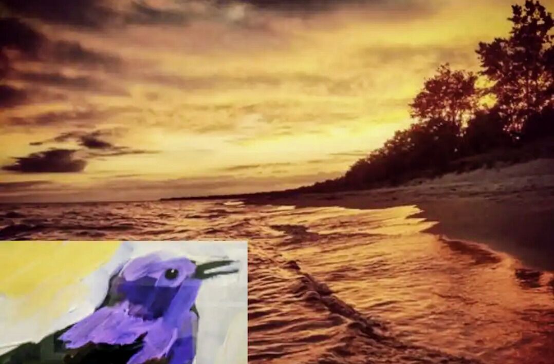 Photo of Others in Long Point