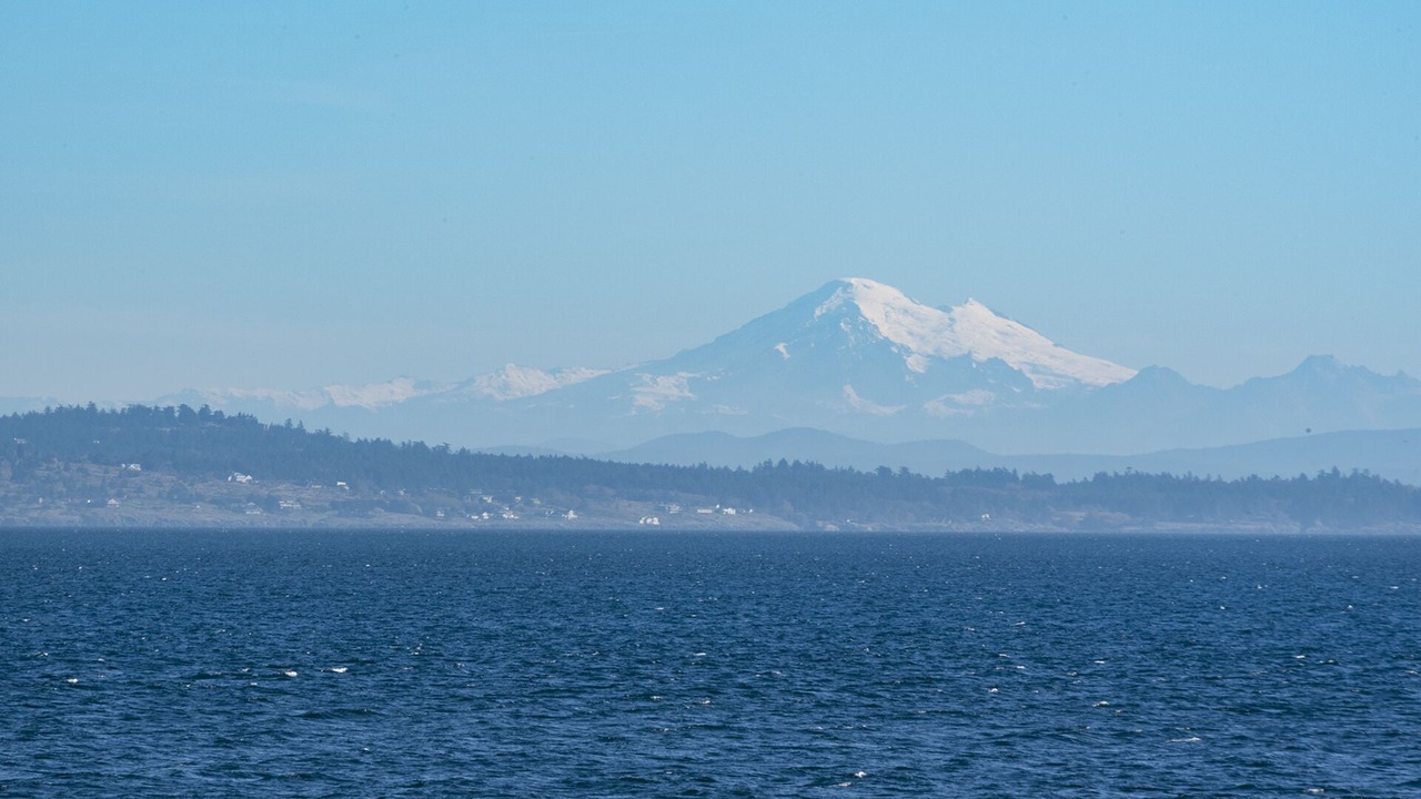 Photo of Others in Saanich East