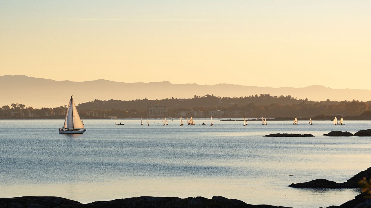 Photo of Others in Saanich East
