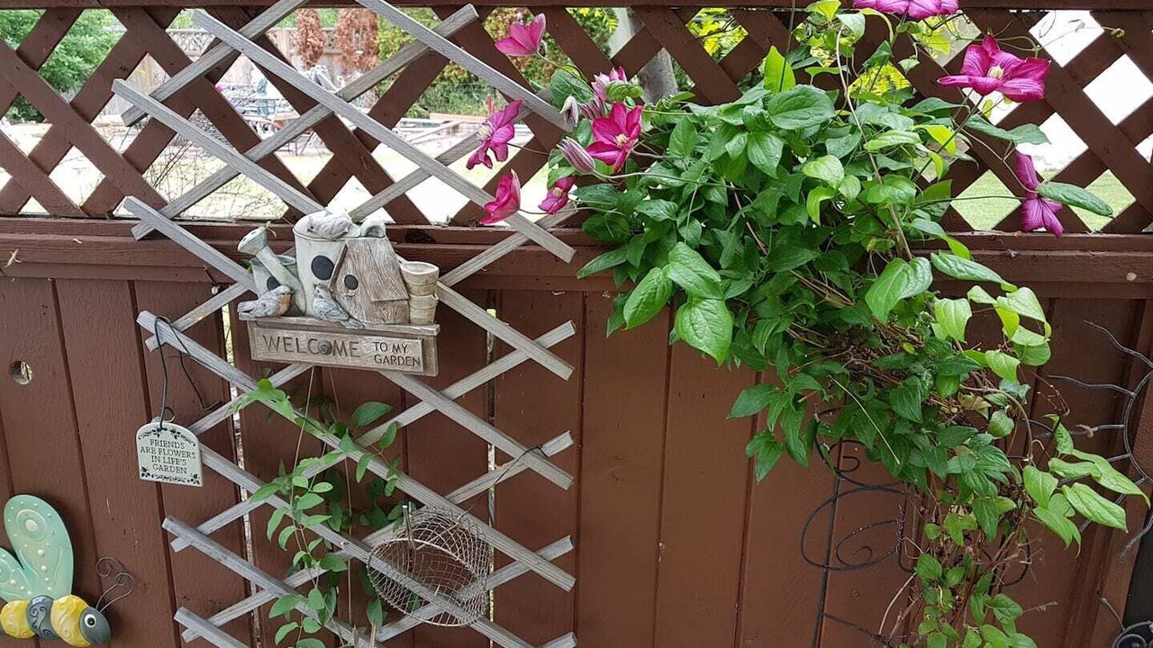 Photo of Outdoor in Vernon