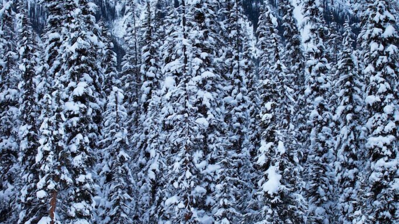 Photo of Others in Lake Louise