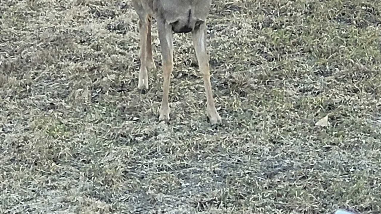 Photo of Outdoor in Drummond-North Elmsley