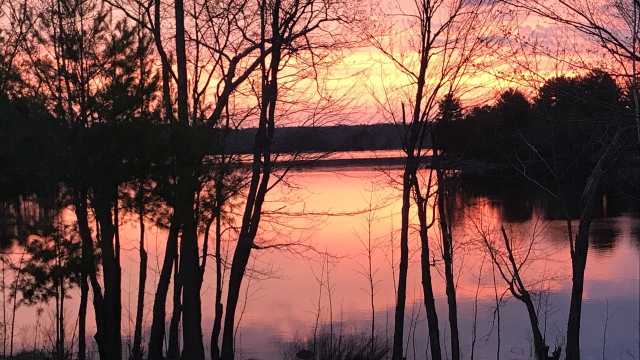 Photo of Others in Muskoka Lakes