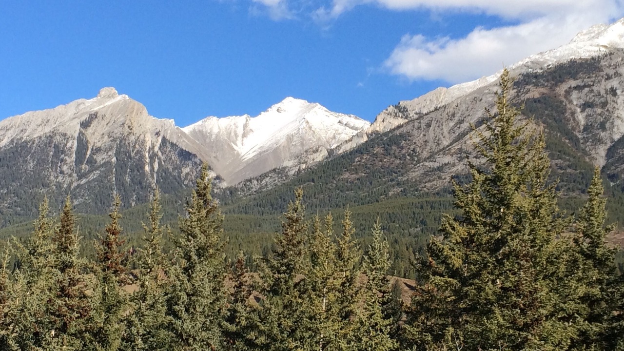 Photo of Others in Canmore