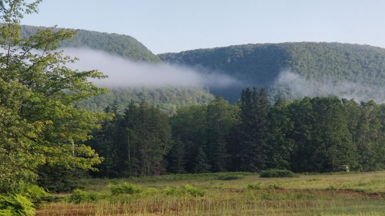 Photo of Others in Margaree Valley