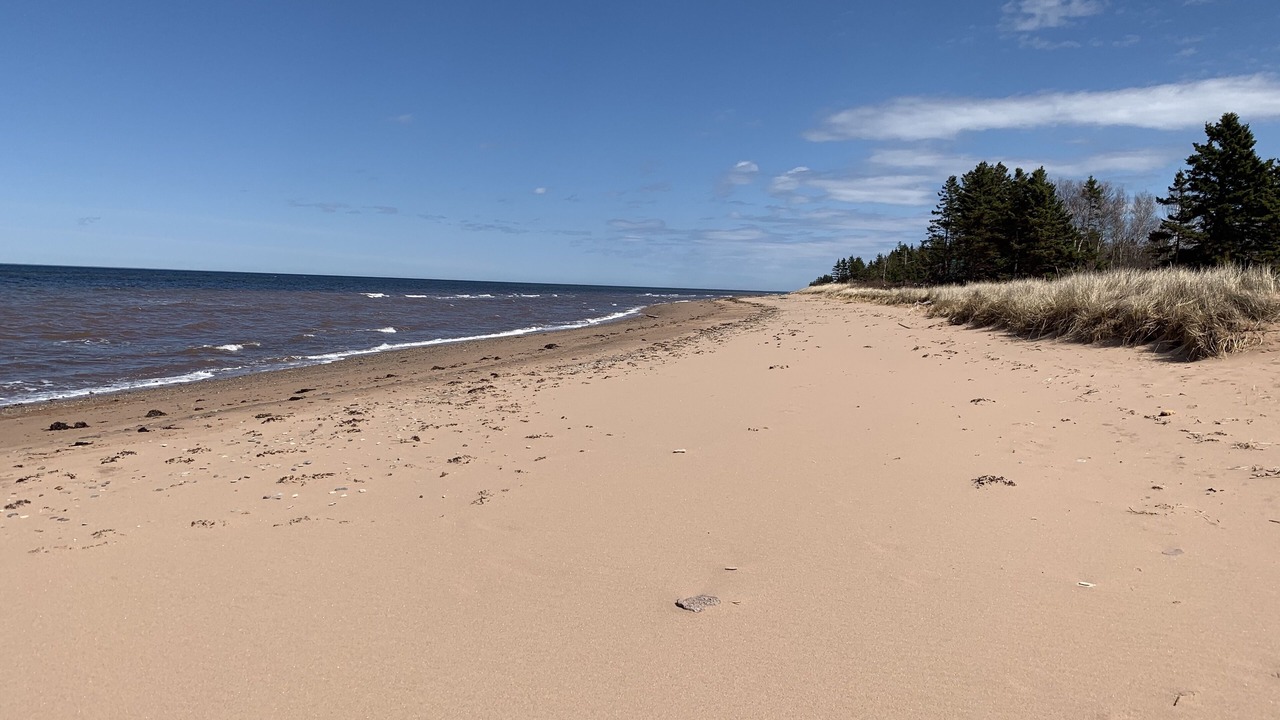 Photo of Others in Pictou County