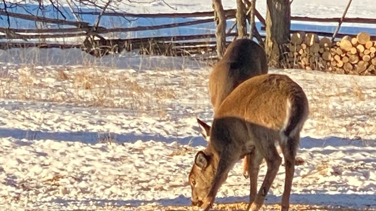 Photo of Outdoor in Lanark Highlands