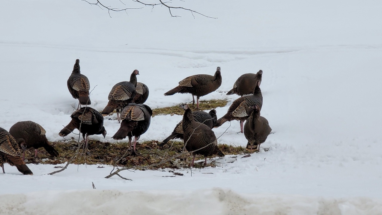Photo of Others in Kawartha Lakes