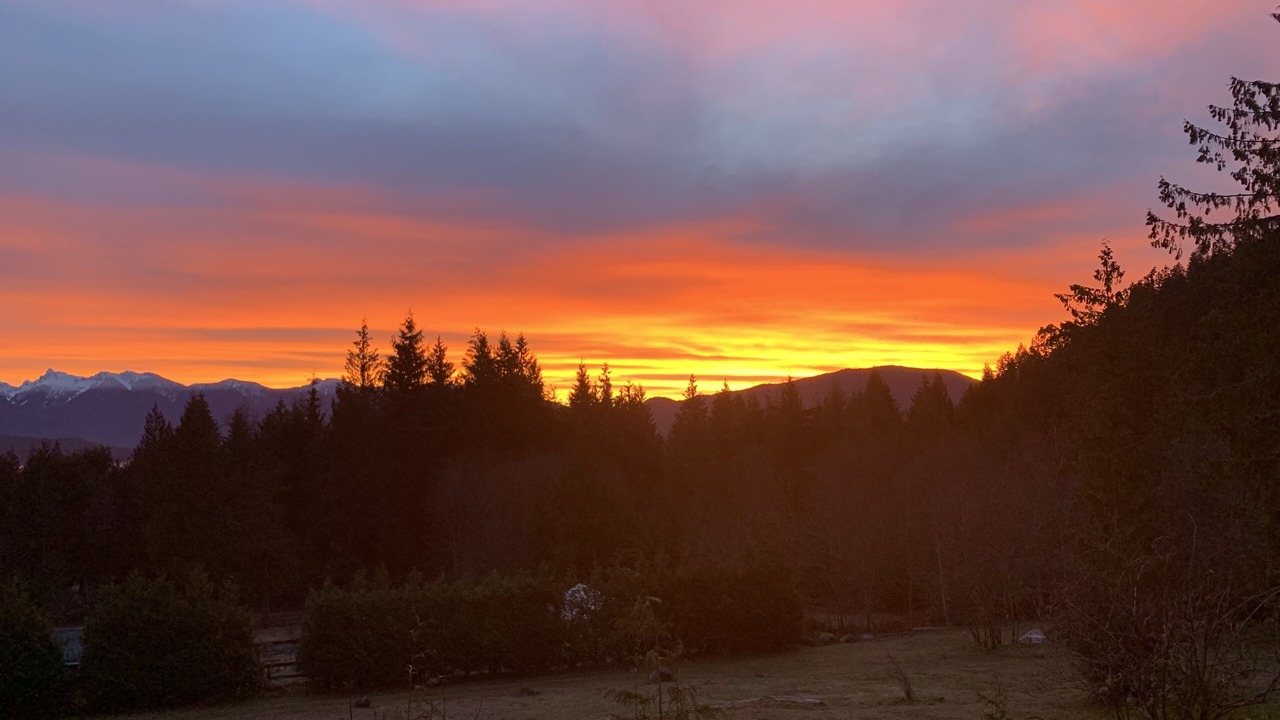 Photo of Outdoor in Gibsons