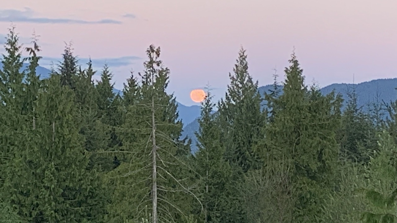 Photo of Others in Gibsons