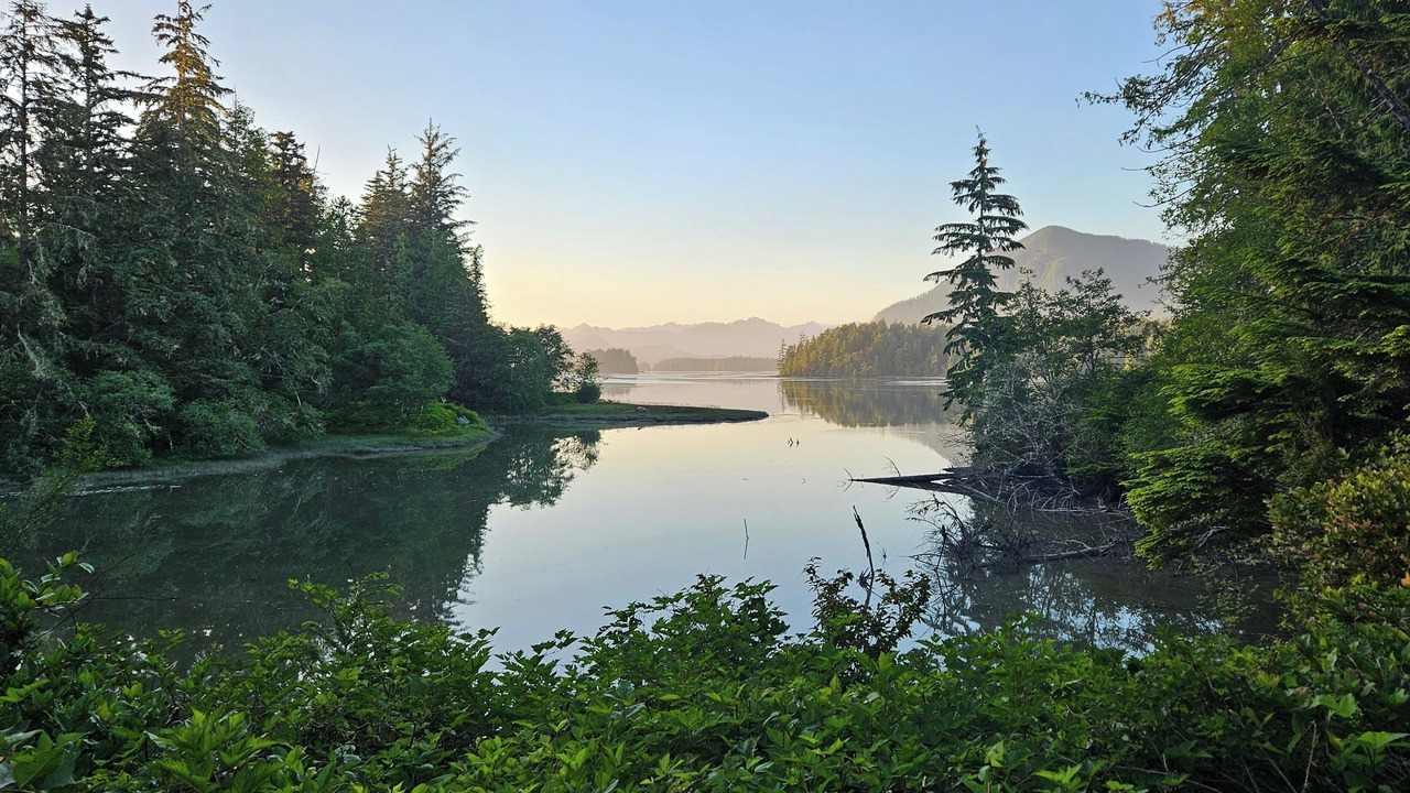 Photo of Others in Tofino