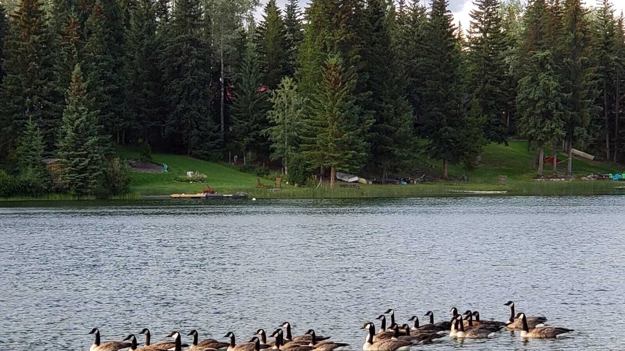 Photo of Outdoor in Sheridan Lake