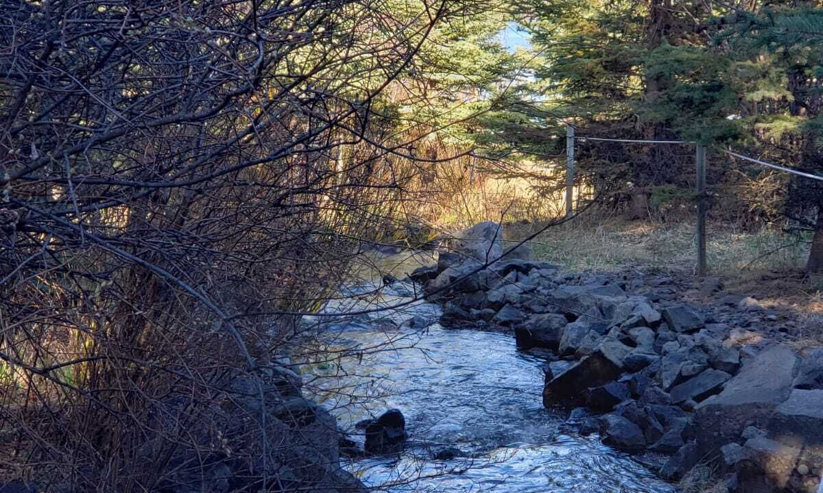 Photo of Outdoor in Sheridan Lake