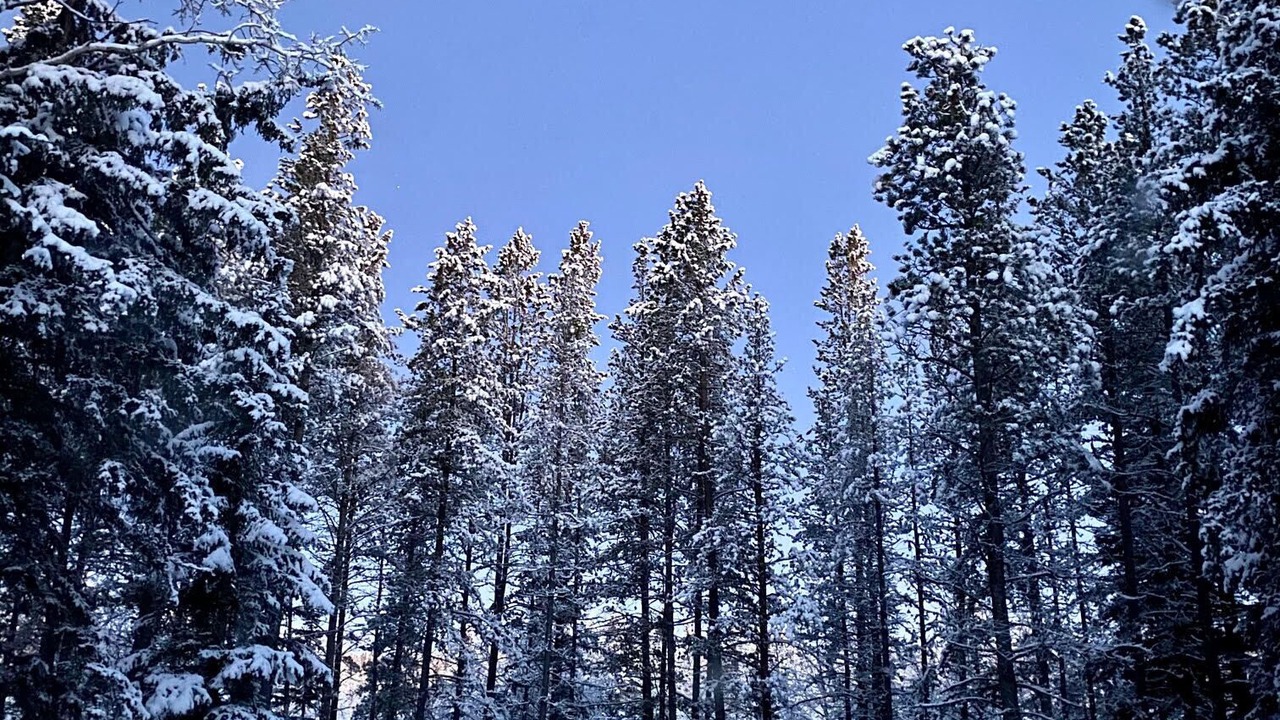 Photo of Others in Bragg Creek